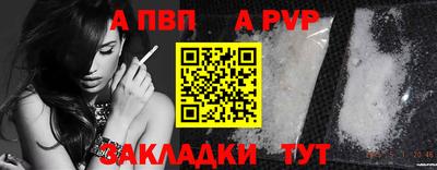 Альфа ПВП Бийск