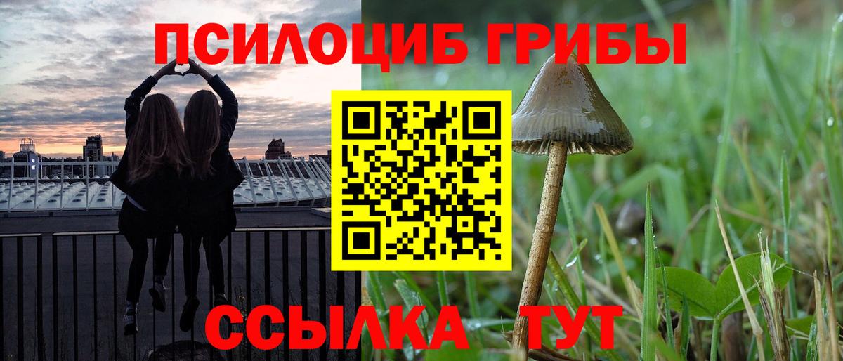 Галлюциногенные грибы MAGIC MUSHROOMS Кольчугино