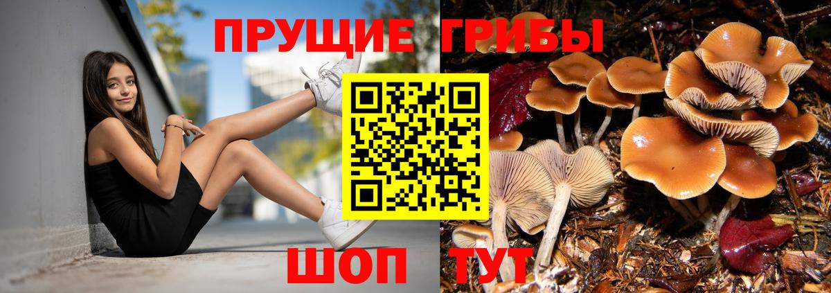 Галлюциногенные грибы Cubensis  Псилоцибиновые грибы Psilocybe  Вход с VPN  Кольчугино 